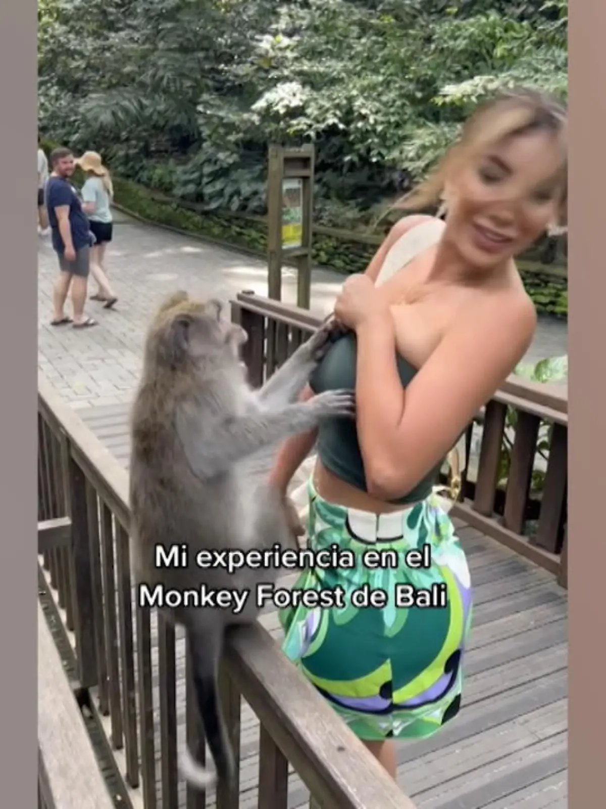 Was für eine freche Aktion! Erst anbaggern und dann zuschlagen wenn es nicht klappt. Dieser Affe im Monkey Forest auf Bali hatte mal so gar keine Manieren. Das freche Äffchen versuchte, das Oberteil des peruanischen Models Paula Manzanal runterzuziehen.