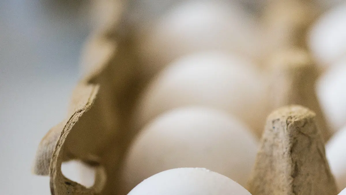 Eier liegen am 07.08.2017 in Krefeld (Nordrhein-Westfalen) in einem Labor des Chemischen Veterinäruntersuchungsamts in einem Frische-Behälter. Die Suche nach mit dem Insektengift Fipronil belasteten Eiern läuft auch in Nordrhein-Westfalen weiter auf Hochtouren. Von heute an werden Proben auch von den Spezialisten in Krefeld untersucht. Bislang wurden die Proben ausschließlich von dem Partneramt in Münster analysiert. Foto: Marcel Kusch/dpa +++(c) dpa - Bildfunk+++