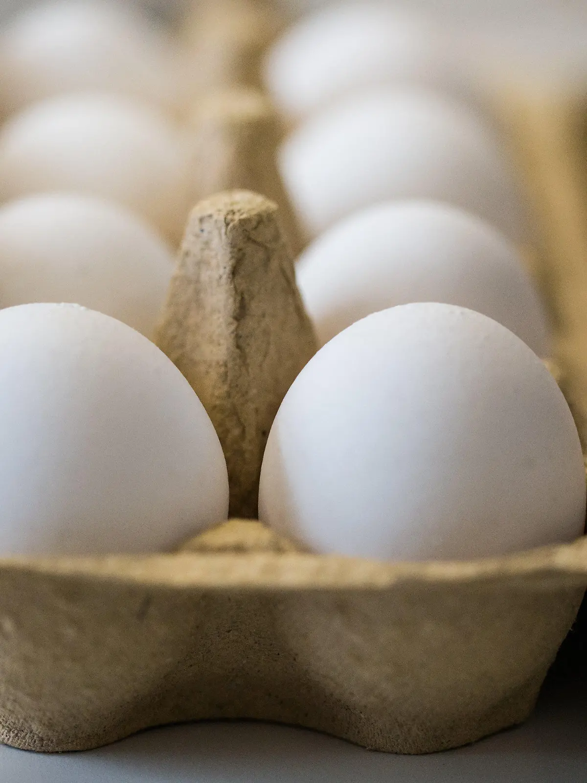 Eier liegen am 07.08.2017 in Krefeld (Nordrhein-Westfalen) in einem Labor des Chemischen Veterinäruntersuchungsamts in einem Frische-Behälter. Die Suche nach mit dem Insektengift Fipronil belasteten Eiern läuft auch in Nordrhein-Westfalen weiter auf Hochtouren. Von heute an werden Proben auch von den Spezialisten in Krefeld untersucht. Bislang wurden die Proben ausschließlich von dem Partneramt in Münster analysiert. Foto: Marcel Kusch/dpa +++(c) dpa - Bildfunk+++