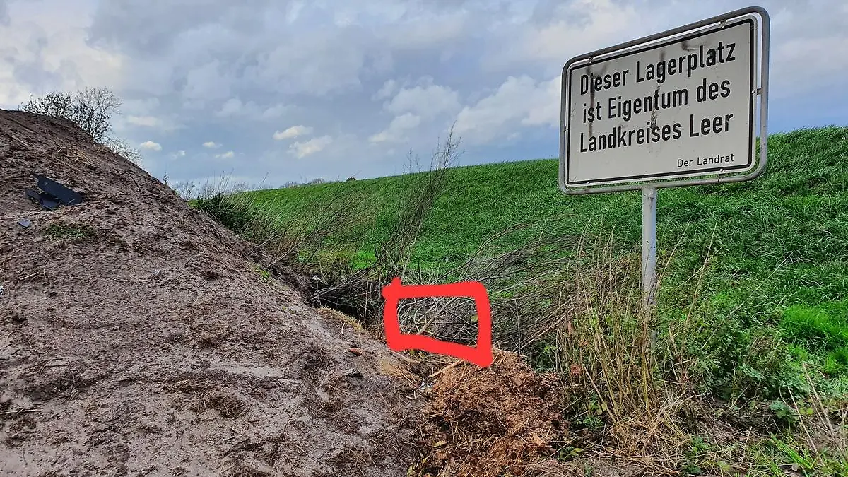 Fundort Katzen und Karton