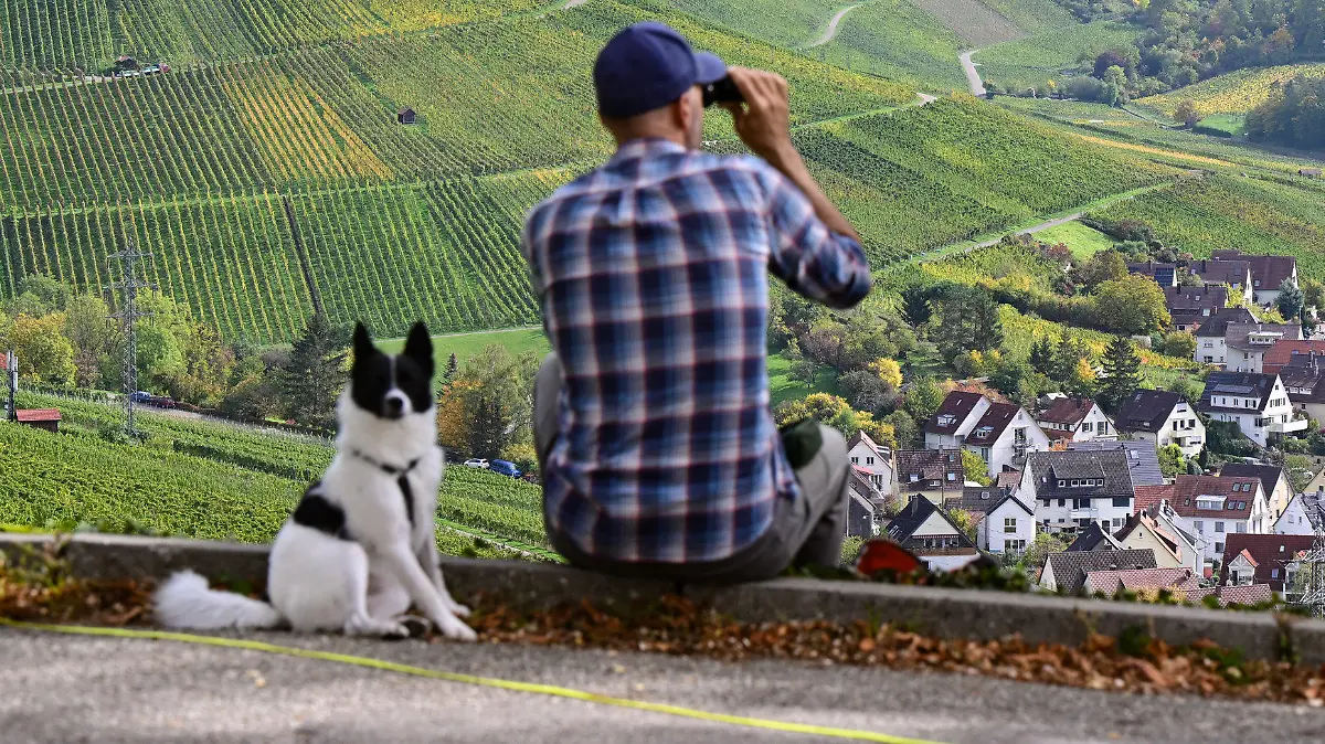 10.10.2022, Baden-Württemberg, Stuttgart: Ein Mann sitzt mit seinem Hund bei Sonnenschein am Württemberg mit Blick auf die Weinberge der Gemeinde Uhlbach. Foto: Bernd Weißbrod/dpa +++ dpa-Bildfunk +++