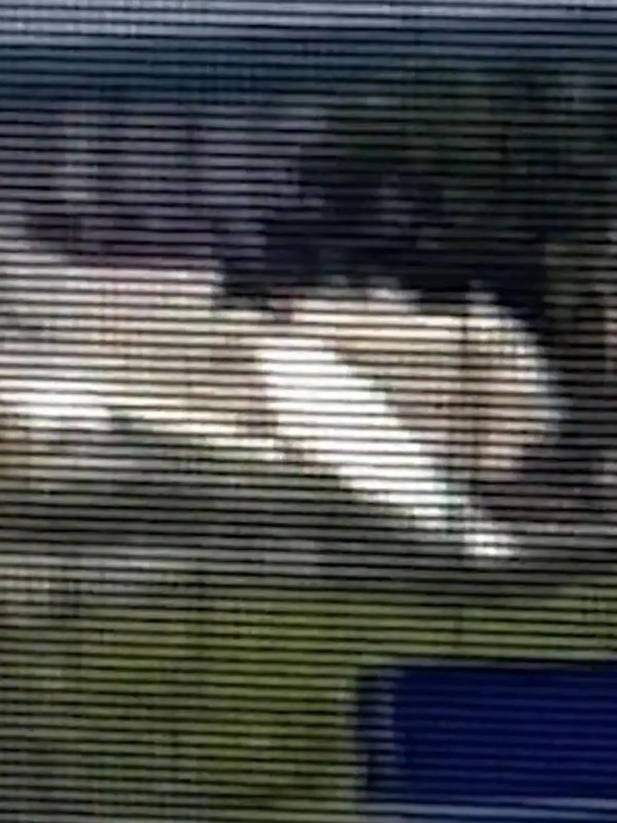 Ein 26-jähriger Pilot muss nach einem technischen Defekt zu einer spektakulären Notlandung ansetzen. Die Szenen sehen Sie im Video.