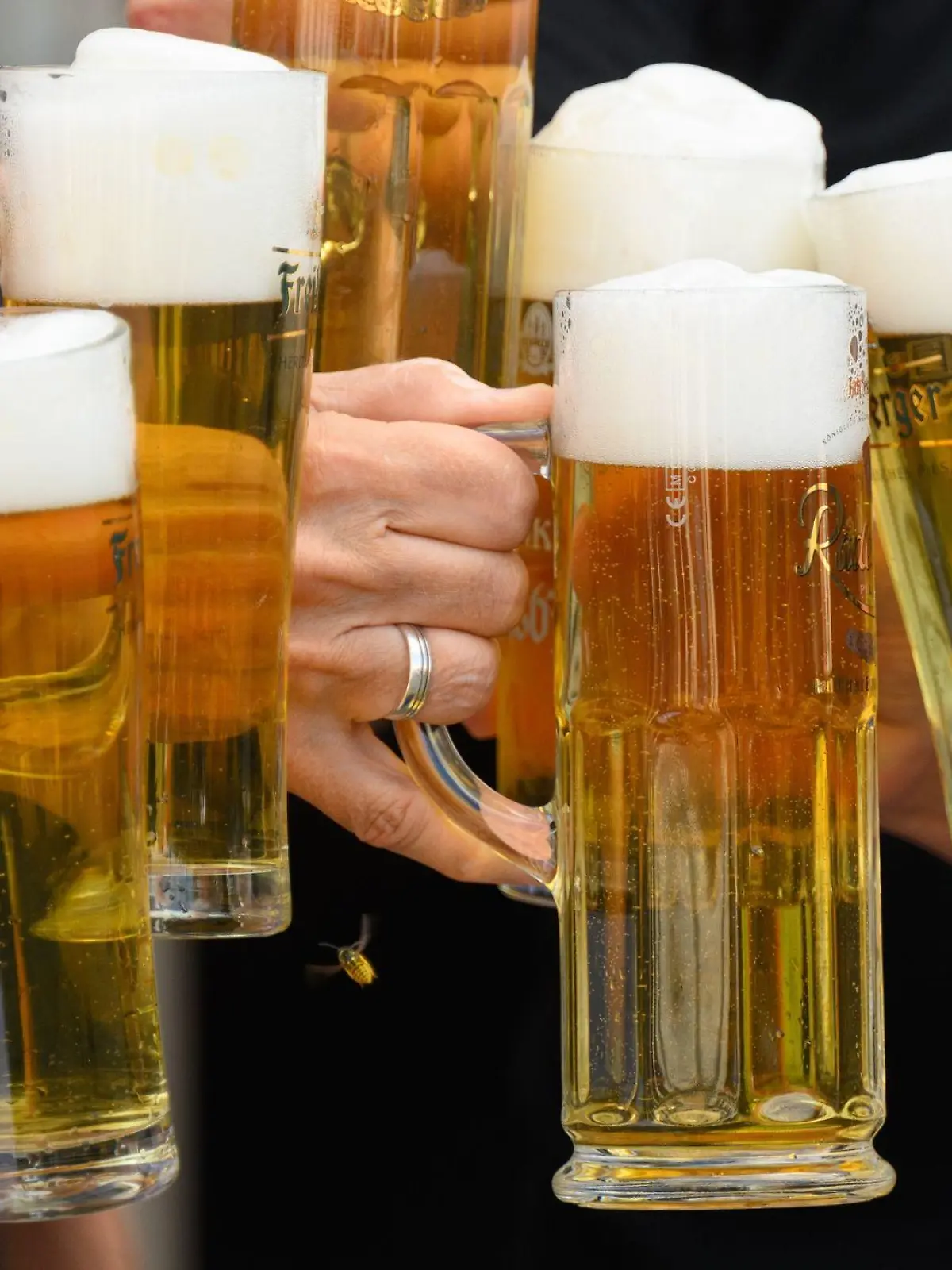 Eine Gesellschaft stößt mit Bier an.