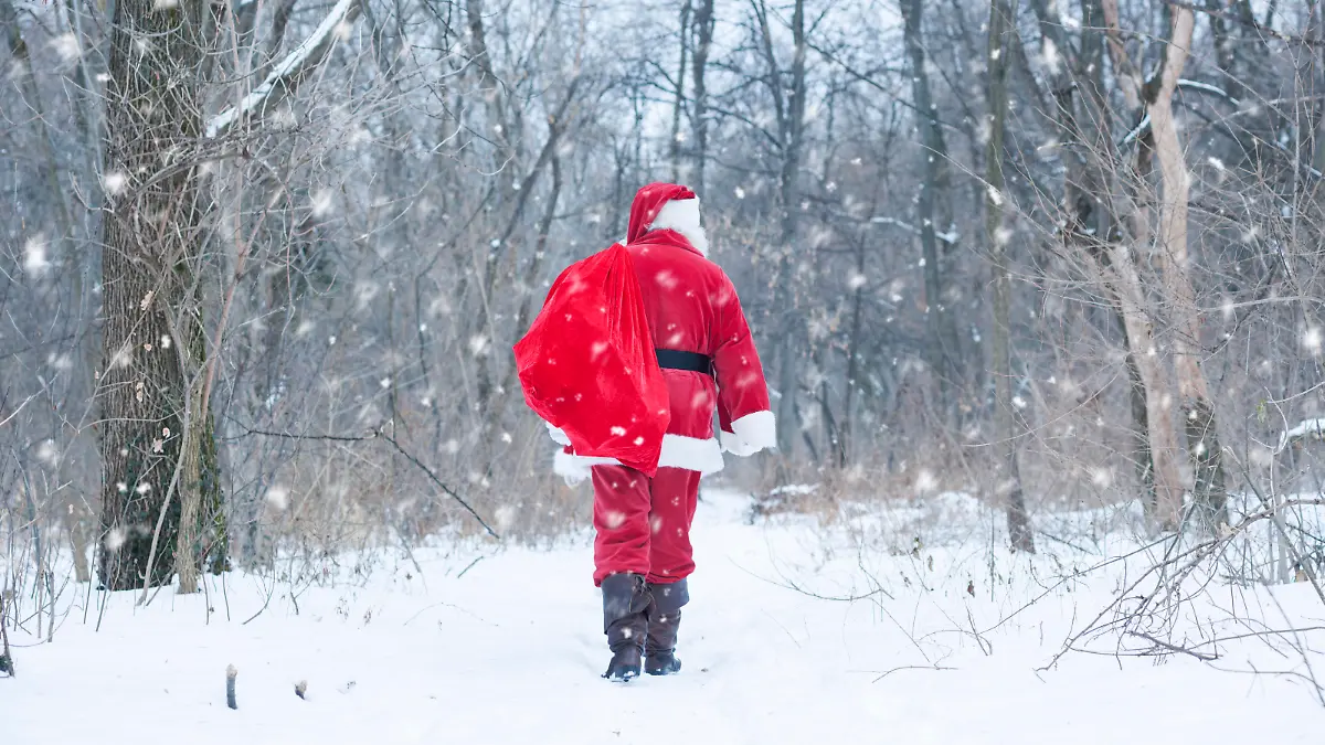 Santa at wood delivering gifts