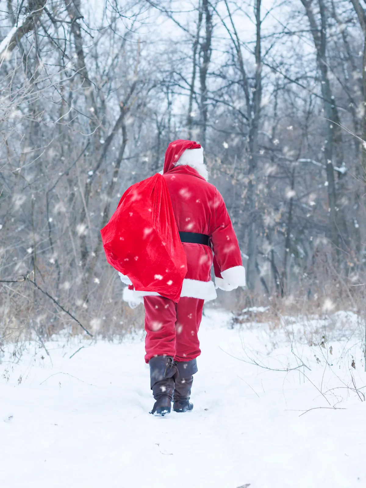 Santa at wood delivering gifts