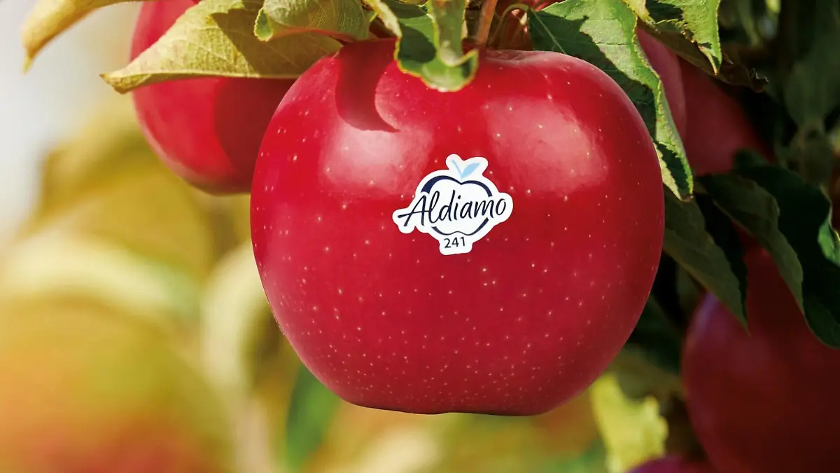 Der Apfel wird exklusiv in allen rund 2.000 ALDI SÜD Filialen erhältlich sein.