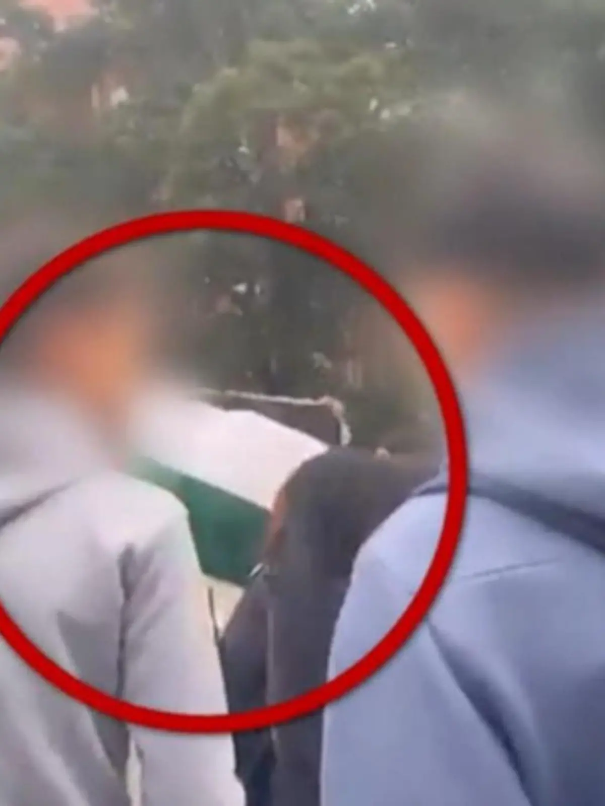 Der Vorfall an einer Berliner Schule, in der ein Jugendlicher zuletzt mit einer Palästina-Flagge auftauchte, scheint kein Einzelfall zu sein. Woher kommt der Hass auf Israel unter einigen muslimischen Schülern?