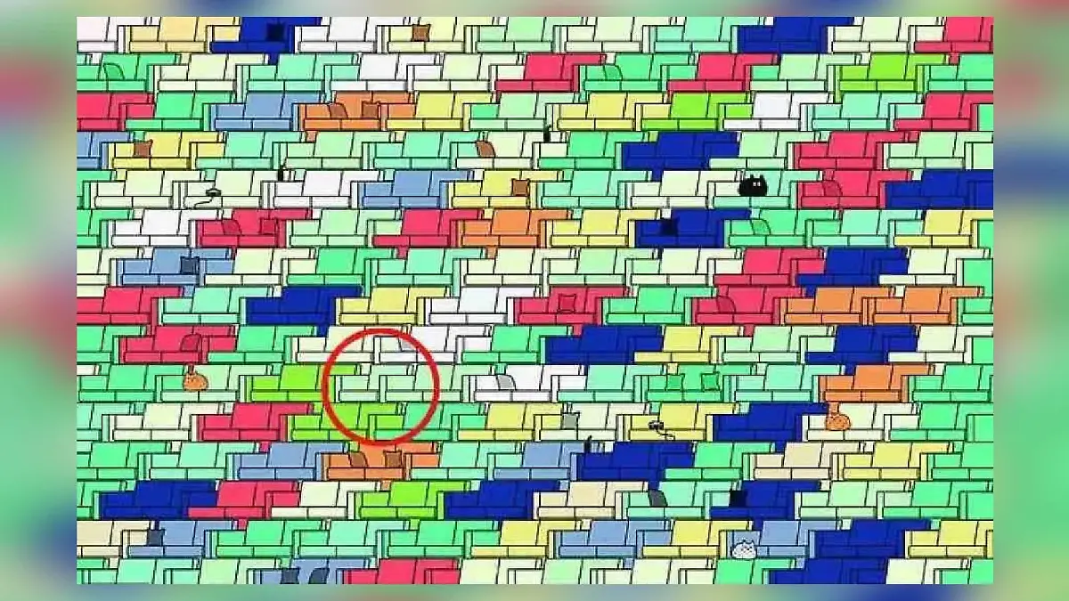 Suchbild