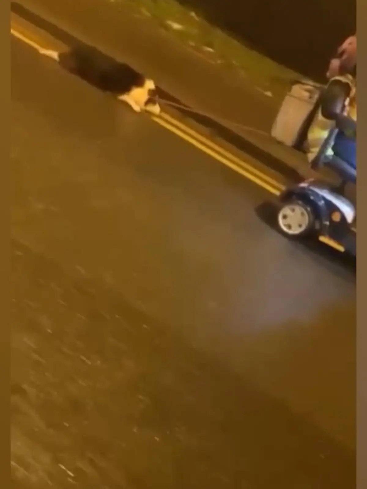 Dieses Video aus Birmingham in Großbritannien entsetzt aktuell das Netz: Eine ältere Frau fährt Abends mit ihrem Scooter durch die Stadt – und schleift dabei ihren Hund an der Leine hinter sich her. Passanten, die die Dame auf ihr Verhalten ansprechen, ignoriert sie und fährt unbehelligt weiter.
