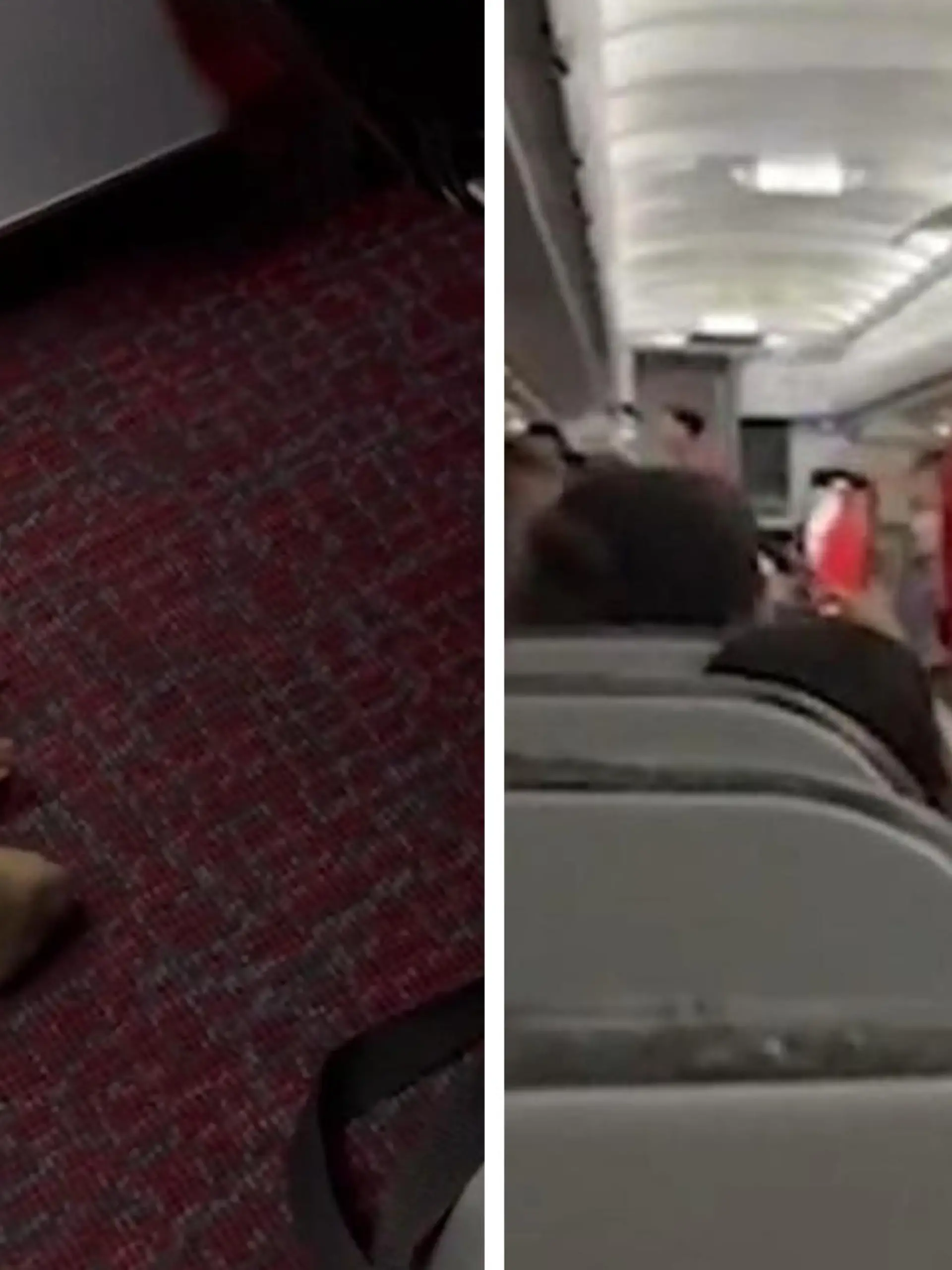 An Bord eines Airbus A320 von Bangkok nach Taipeh entwischte eine Ratte aus dem Handgepäck eines Passagiers. Sie blieb aber nicht die einzige tierische Entdeckung. Die alarmierten Besatzungsmitglieder machten sich schließlich auf die Suche nach dem Tier. Dabei begegneten sie jedoch zuerst nicht der Ratte, sondern einem Baby-Otter, der sich unter einem Sitz herumwälzte. Die Szenen sind in einem Video festgehalten, das von der britischen «Daily Mail» veröffentlicht wurde. Später fand ein Flugbegleiter auch die Ratte, von ihr wurde er in die Hand gebissen, wie es weiter heißt. 
Laut einem Reisenden wurde bei Ankunft am Taoyuan International Airport jede Tasche durchsucht. Dort kamen noch mehr Tiere zum Vorschein. Die Rede ist von 28 Sternschildkröten, einer Schlange, einem Murmeltier, zwei Ottern und zwei weiteren unbekannten Nagetieren.