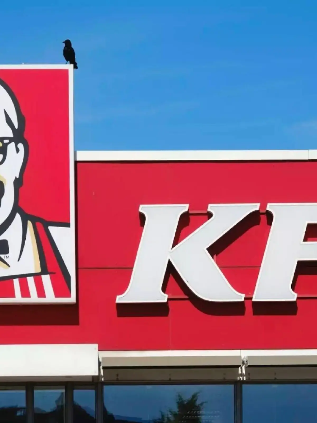 Nach einer Push-Meldung erntet der Fast Food Riese einen Shitstorm im Netz.
