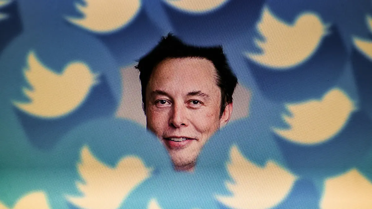 November 9, 2022, Clermont Ferrand, Auvergne Rhone Alpes, France: A portrait of Elon Musk is seen surrounded by the Twitter logo. Elon Musk sells nearly $4 billion worth of Tesla shares in view of its takeover of Twitter. Weeks after his buyout of Twitter, faced with the changes promised by Elon Musk, many Internet users have announced that they want to leave Twitter for other platforms - Clermont-Ferrand, November 9, 2022. (Credit Image: © Adrien Fillon/ZUMA Press Wire) / action press