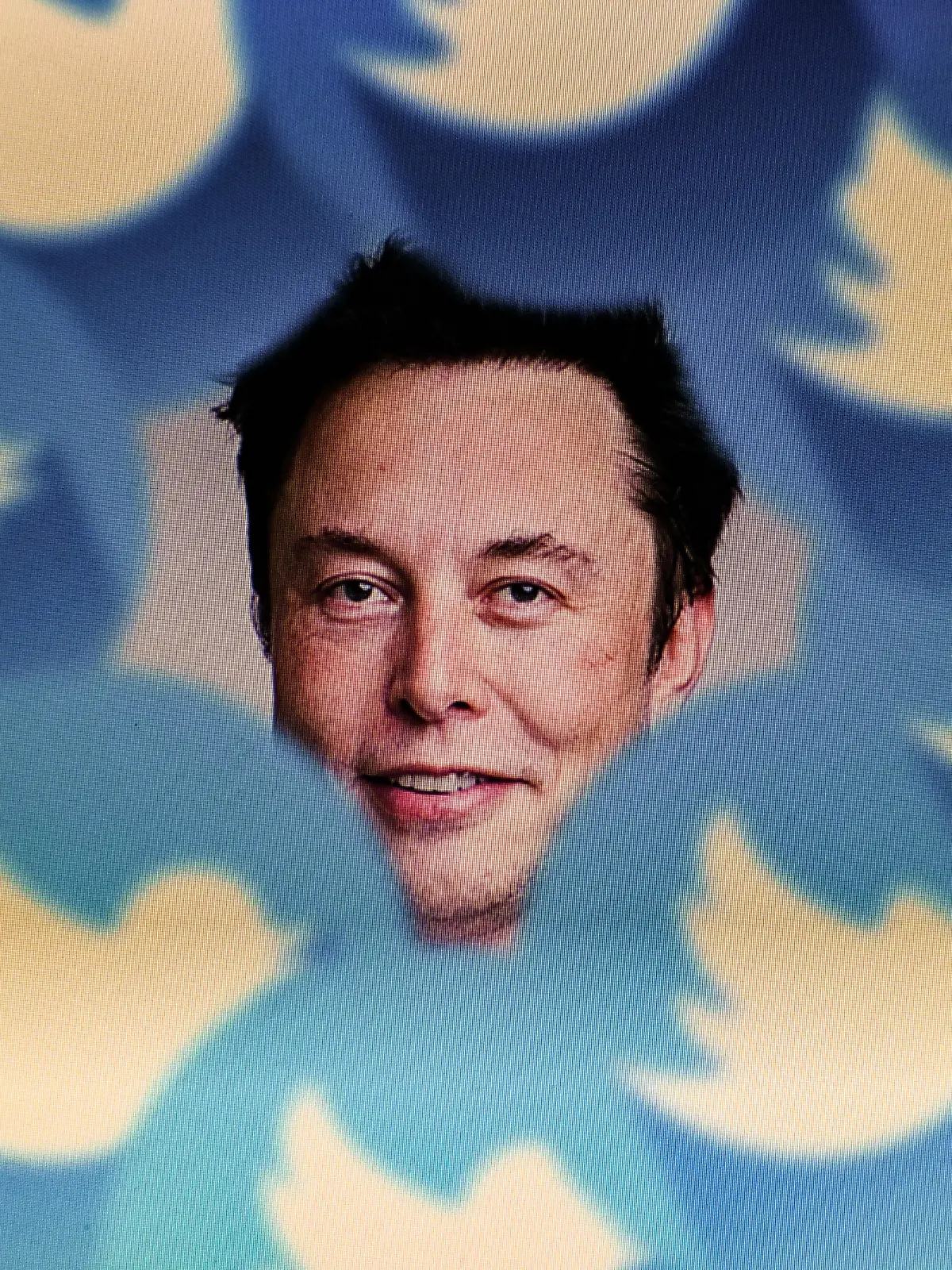 November 9, 2022, Clermont Ferrand, Auvergne Rhone Alpes, France: A portrait of Elon Musk is seen surrounded by the Twitter logo. Elon Musk sells nearly $4 billion worth of Tesla shares in view of its takeover of Twitter. Weeks after his buyout of Twitter, faced with the changes promised by Elon Musk, many Internet users have announced that they want to leave Twitter for other platforms - Clermont-Ferrand, November 9, 2022. (Credit Image: © Adrien Fillon/ZUMA Press Wire) / action press
