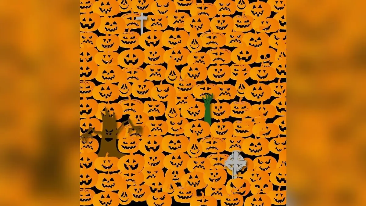 Suchbild