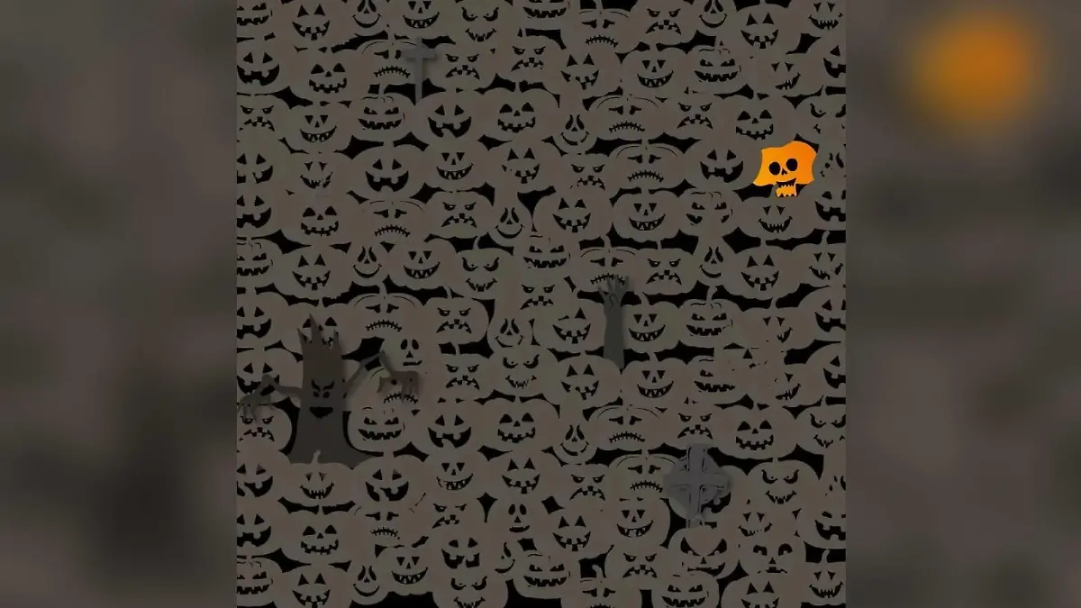 Suchbild Lösung