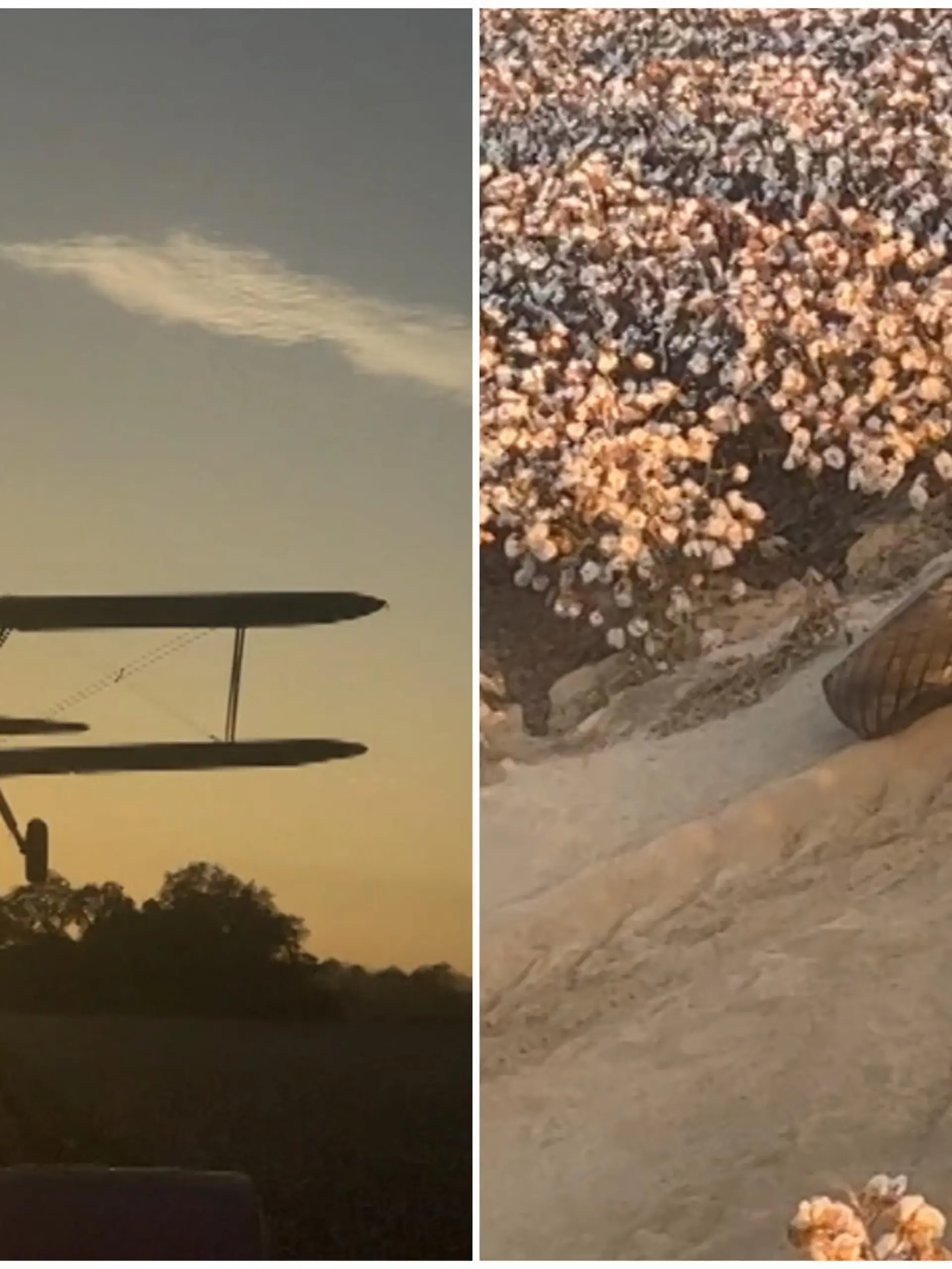 Zwei Kleinflugzeuge fliegen in Mississippi zu tief über ein Baumwollfeld. Eines der Flugzeuge kollidiert mit einer Erntemaschine. Dabei wird ein Fahrwerk rausgerissen. Es verfehlt die Arbeiter auf dem Feld nur knapp. Die rasen dem Flugzeug hinterher. Dem Piloten und seinem Passagier ist trotz Bruchlandung nichts passiert.