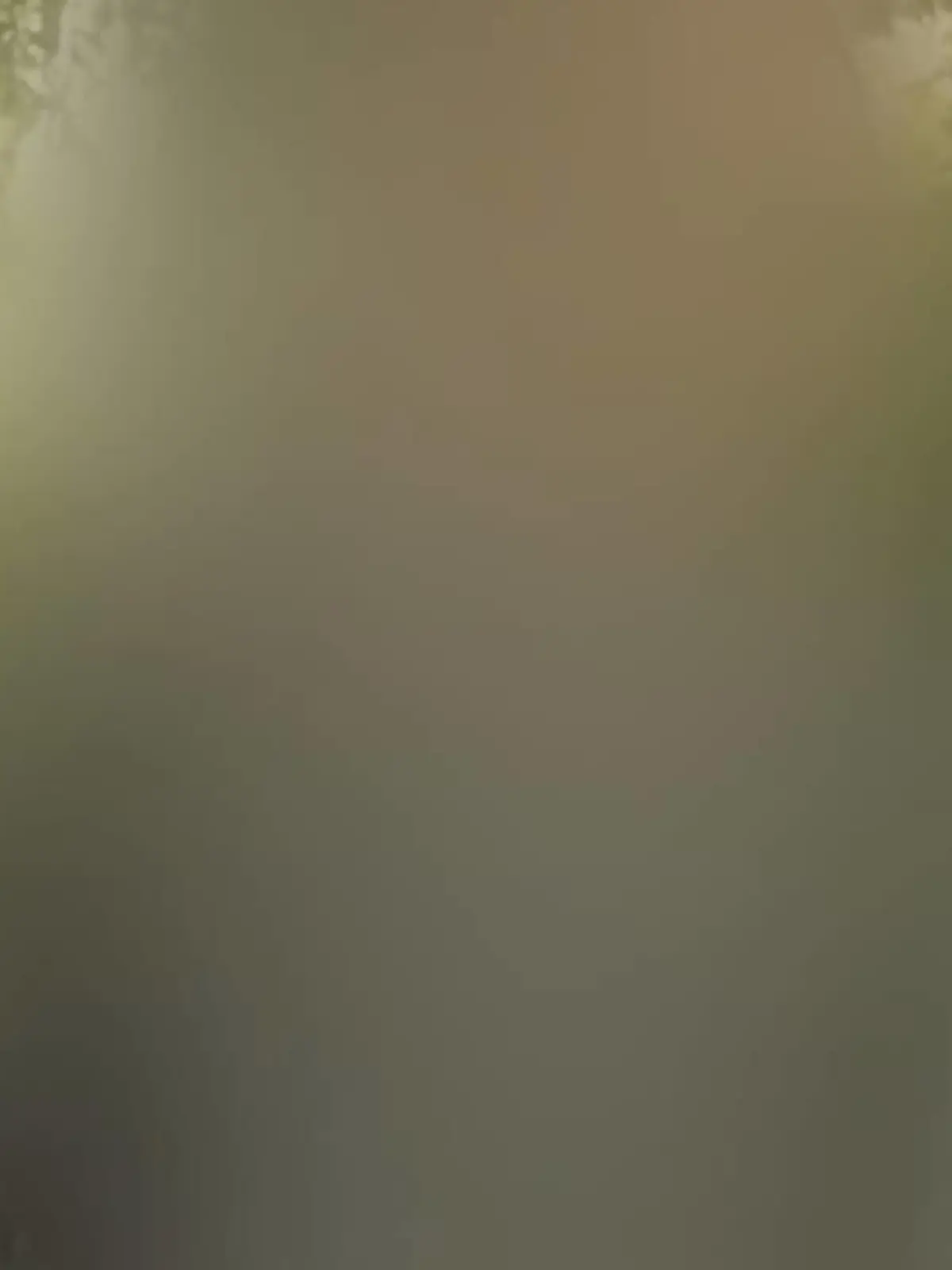 Melina aus Hamburg ist wieder da.