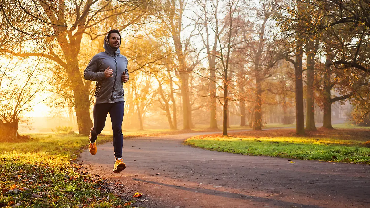 Adult male runner in park at autumn sunrise