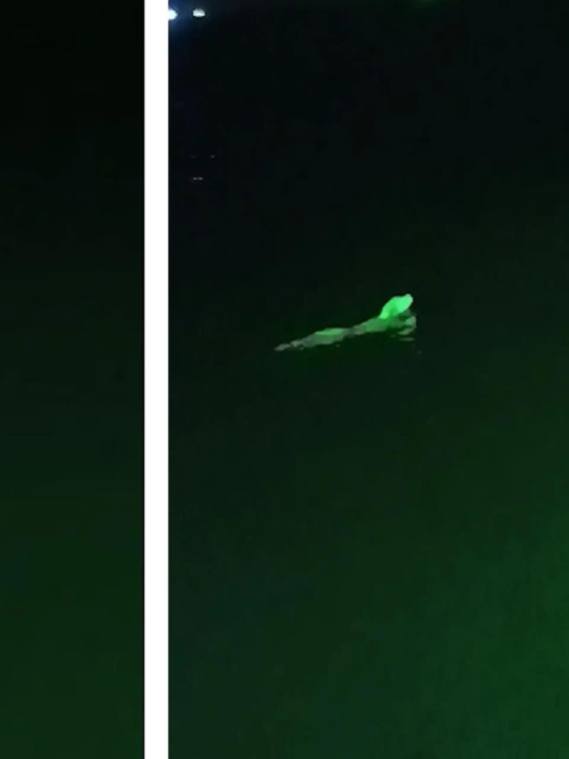 Ein thailändischer Fischer macht beim Schleppnetzfischen eine mysteriöse Entdeckung: Gründe Hunde! Was dahinter steckt, erfahren Sie im Video.