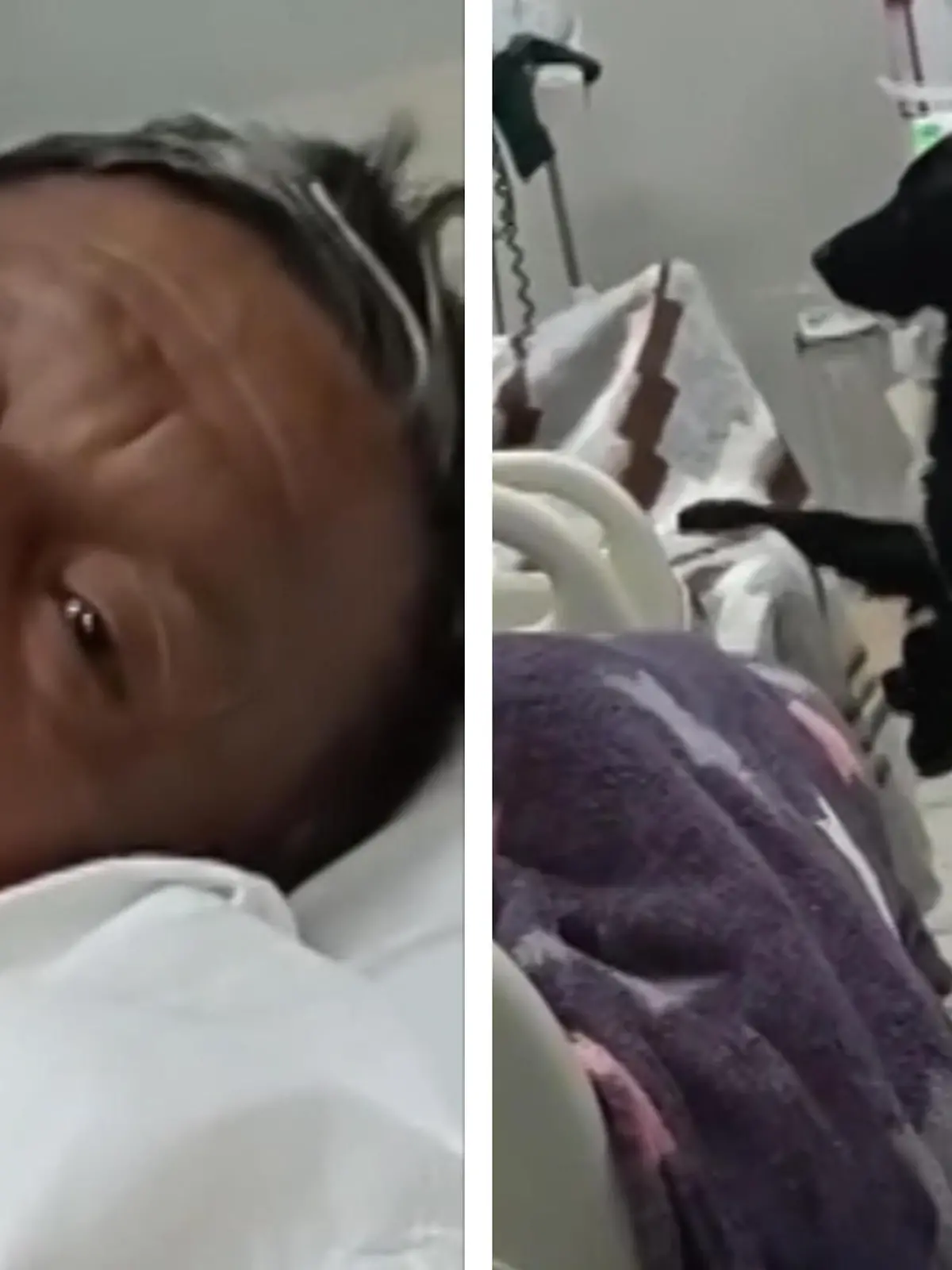Dieser Hund begleitet sein todkrankes Herrchen auf seinem letzten Weg. 
Eine Frau teilt auf TikTok diese herzerwärmende Geschichte, aus einem Krankenhaus im peruanischen Lima. Einer der letzten Wünsche des todkranken Mannes ist, dass sein Hund ein neues Zuhause findet. Deshalb startet die Urheberin des Videos einen Aufruf, ob jemand den pelzigen, treuen Freund adoptieren möchte. Die Videos wurden fast eine Million mal geklickt - dazu tausende Kommentare von Menschen aus der ganzen Welt, die den Hund aufnehmen würden. Der letzte Wunsch des todkranken Mannes geht also in Erfülling: sein treuer Hund, der ihn bis zum Tod begleitet, findet ein neues Zuhause.