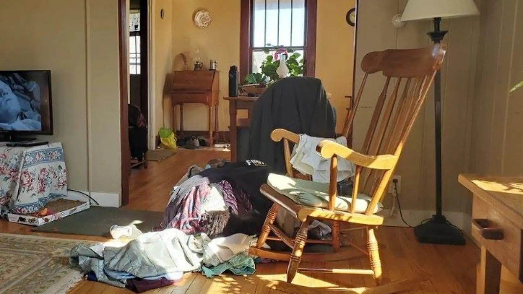 Finden Sie die Katze in elf Sekunden?