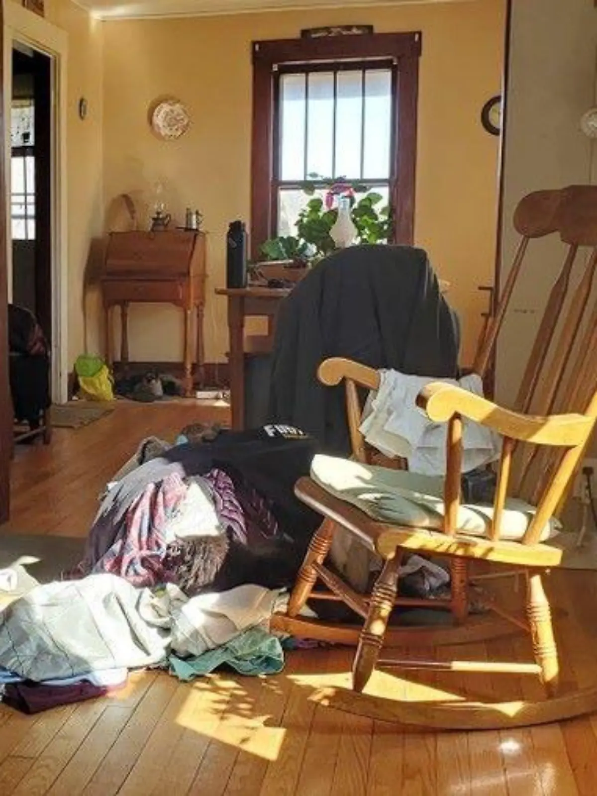 Wohnzimmer-Suchbild