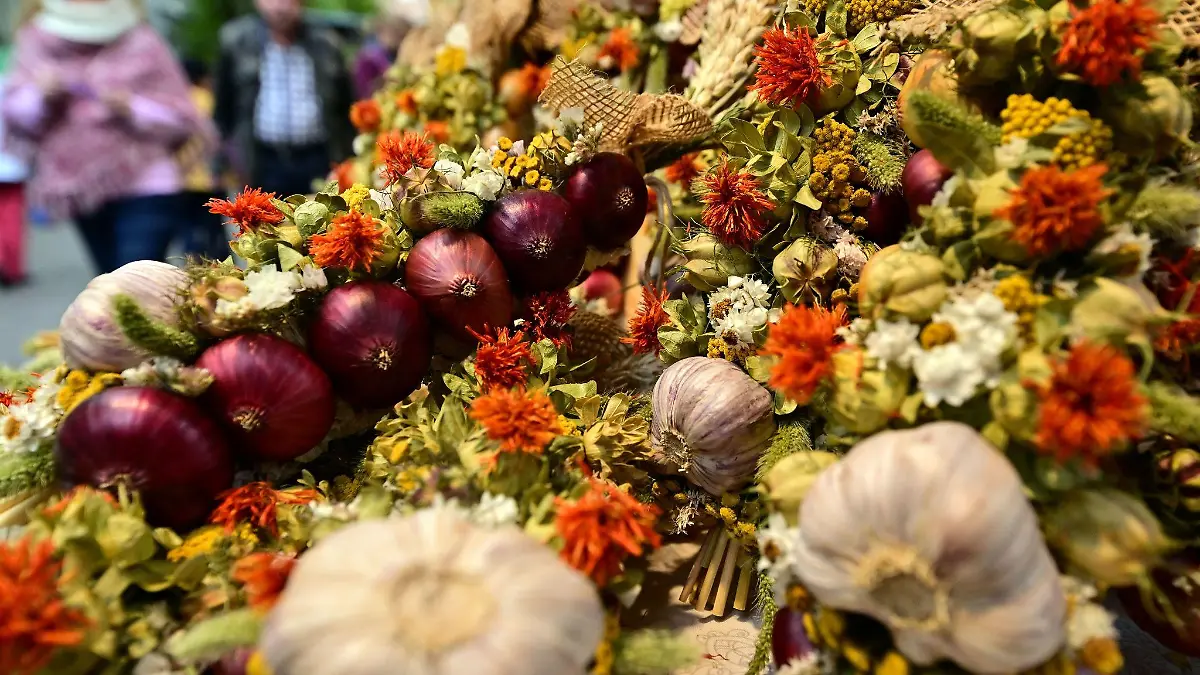 An einem Marktstand beim 370. Weimarer Zwiebelmarkt liegen bunte Zöpfe aus Ziebeln und Knoblauchkollen zum Verkauf.