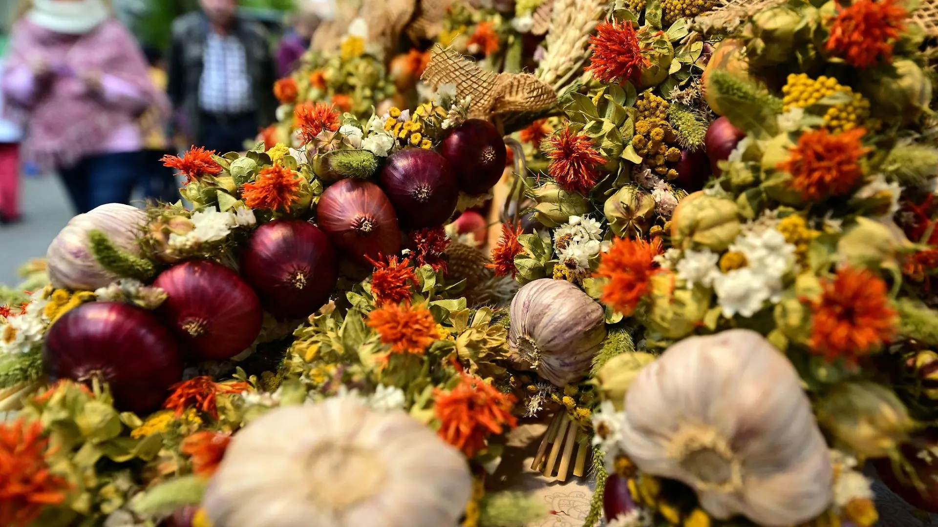 An einem Marktstand beim 370. Weimarer Zwiebelmarkt liegen bunte Zöpfe aus Ziebeln und Knoblauchkollen zum Verkauf.