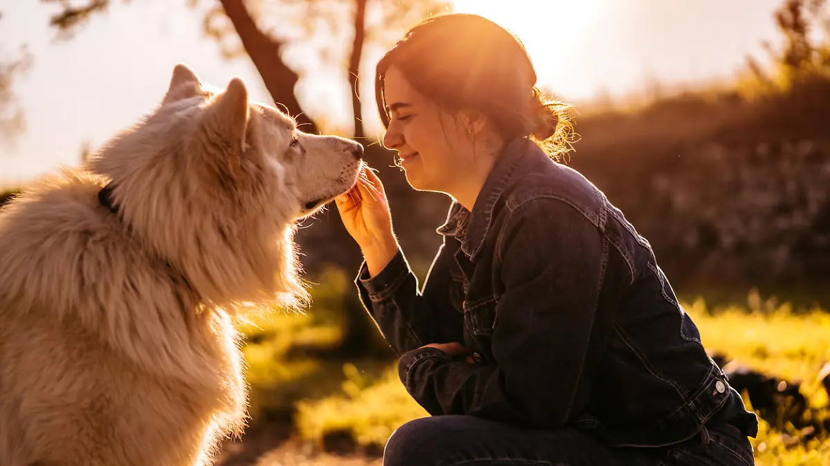 Young woman feeding Switzerland shepherd dog with treats in public park.