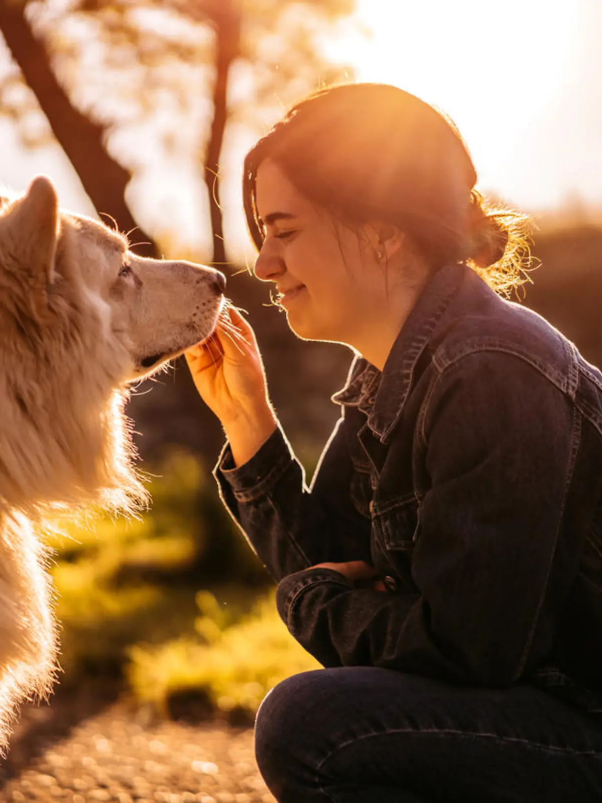 Young woman feeding Switzerland shepherd dog with treats in public park.