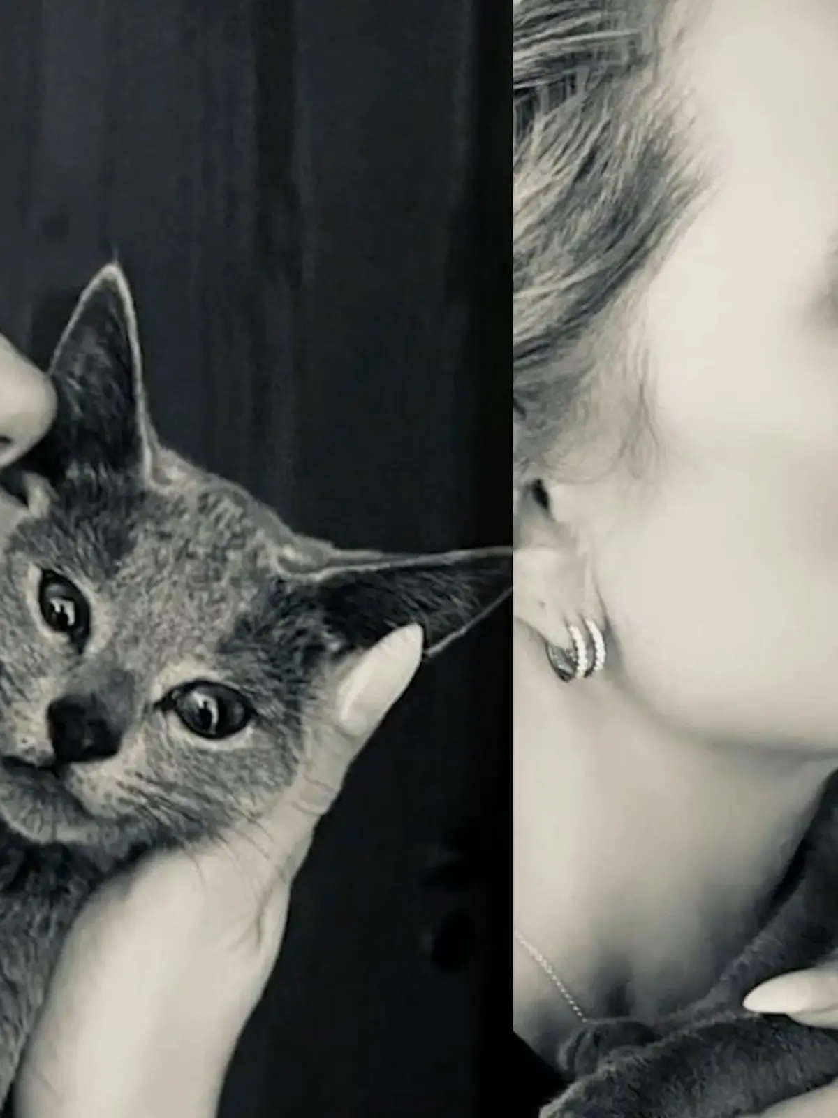 Bild zu: "Mirja DuMont: Meine Katze hat mein Leben gerettet"