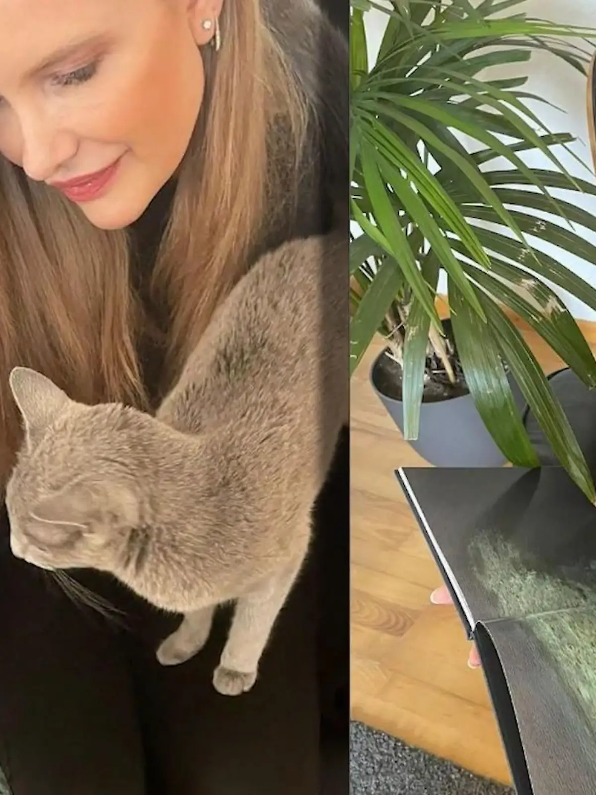 Mirja du Mont und ihre Katze.