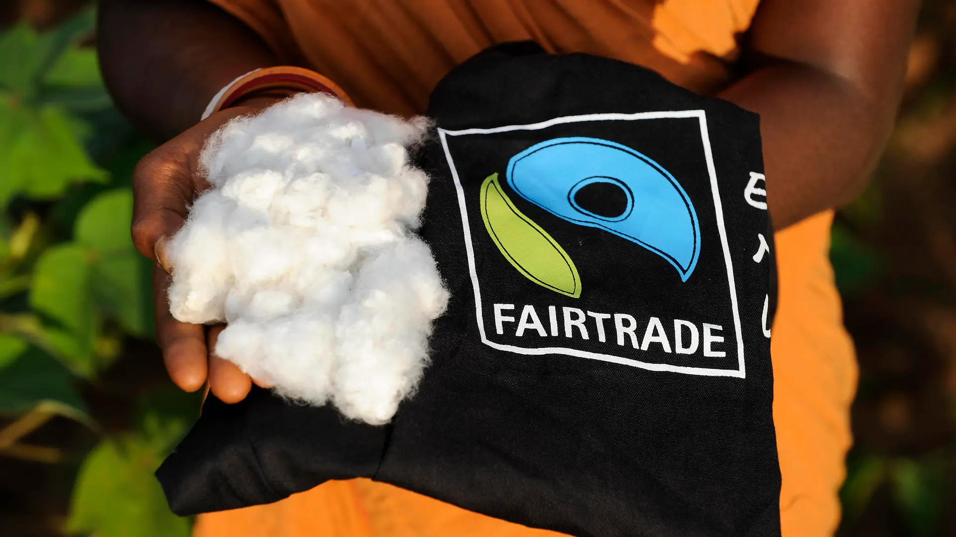  India, fair trade cotton INDIA, Orissa, fairtrade cotton farmers of Agrocel near Rayagada *** INDIEN, Orissa, Raygada, fairtrade Baumwollbauern von Agrocel, Dorf Kodesu, Frau hält geerntete fairtrade Biobaumwolle und Tasche mit Fairtrade Logo Rayagada Orissa India