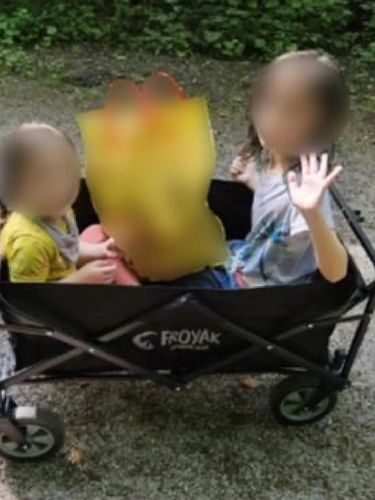 Bollerwagen mit zwei Kindern darin