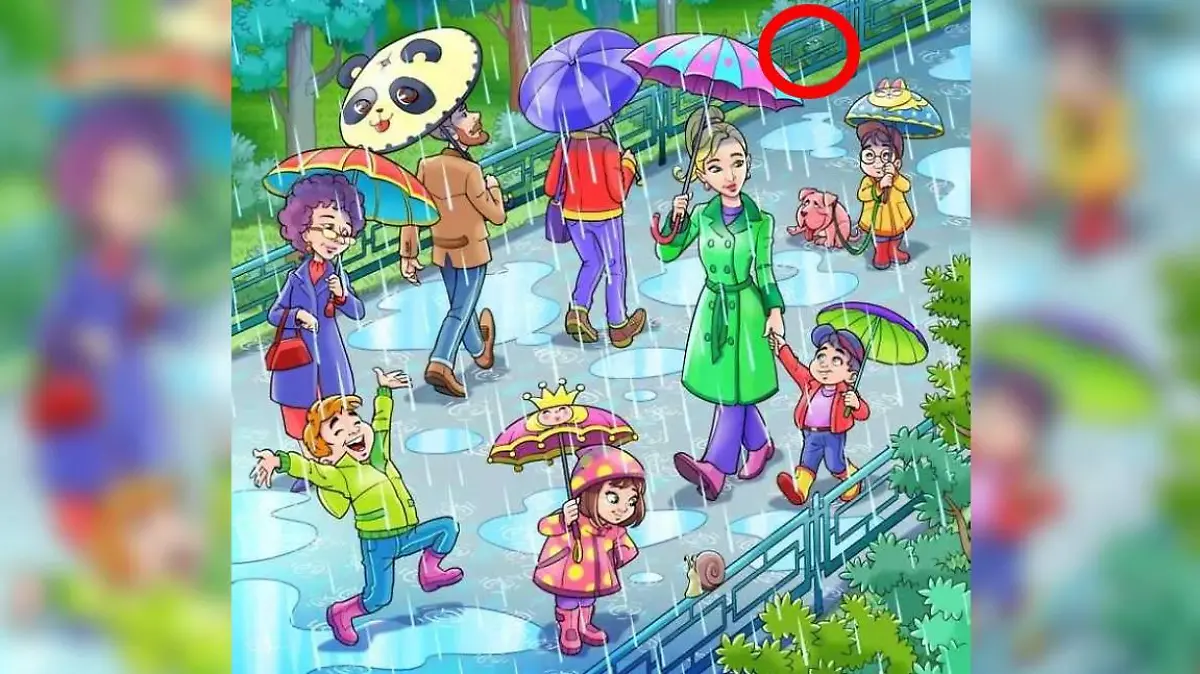 Auflösung Suchbild Frosch