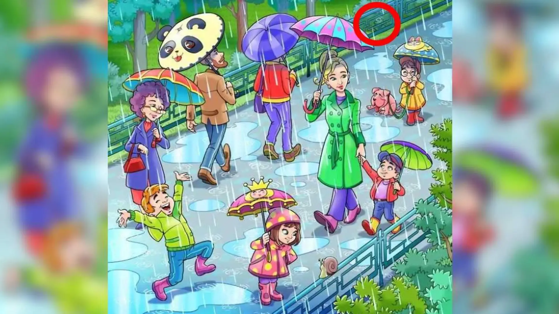 Auflösung Suchbild Frosch