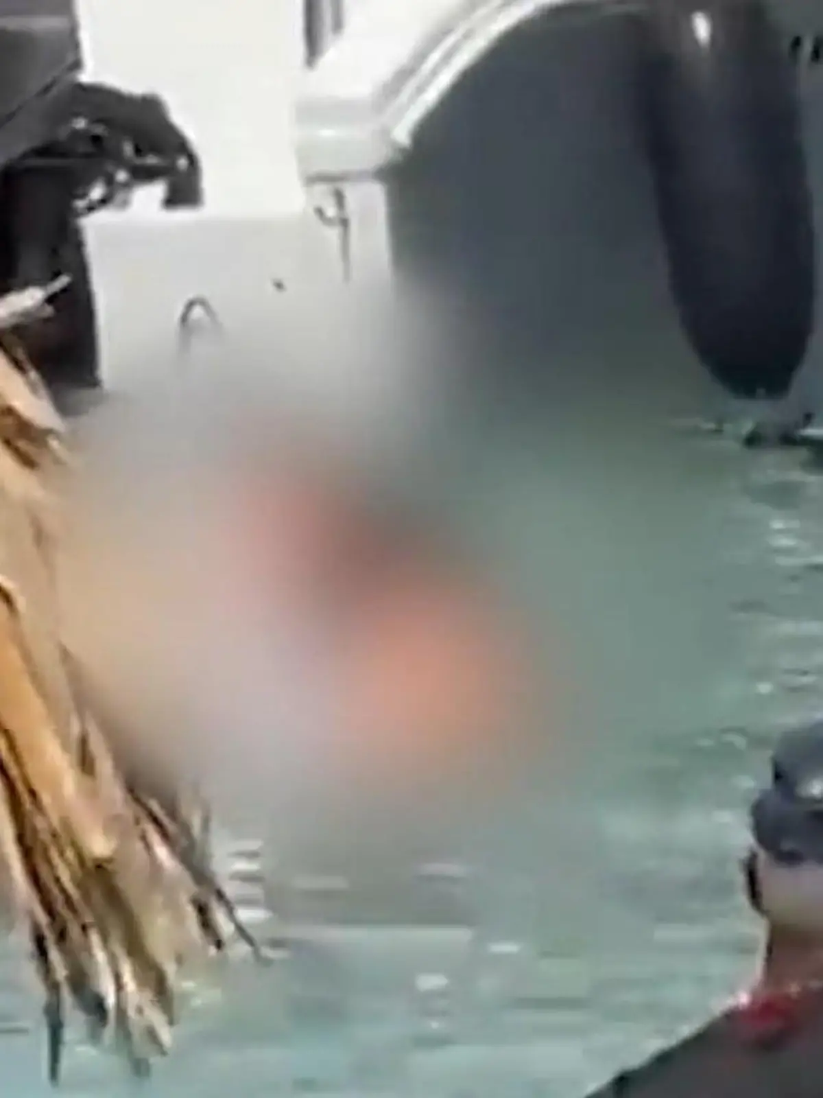 Ein schamloses Paar treibt es mitten am Tag im Meer von Kolumbien, zwischen Touristen und planschenden Kindern - im Video.