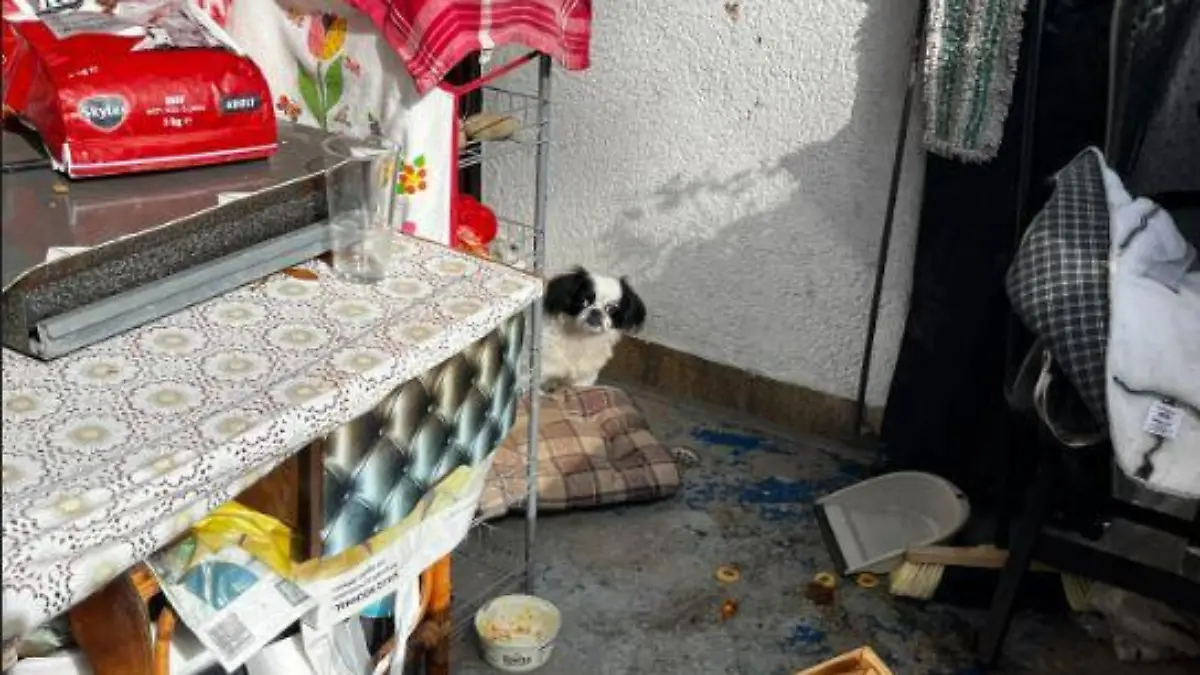 Hund lebt dauerhaft auf Balkon