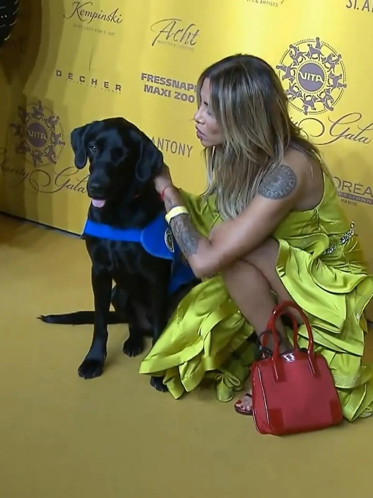 Hunde sind der beste Freund des Menschen.

Besonders Assistenzhunde beweisen das. Für deren Ausbildung braucht der Verein Vita regelmäßig Spenden. Bei der Charity-Gala im Wiesbadener Kurhaus hat Society-Reporter Jens Prewo mit Promis über ihre Lieblinge gesprochen. Dabei war Rapperin Sabrina Setlur ganz besonders redselig.