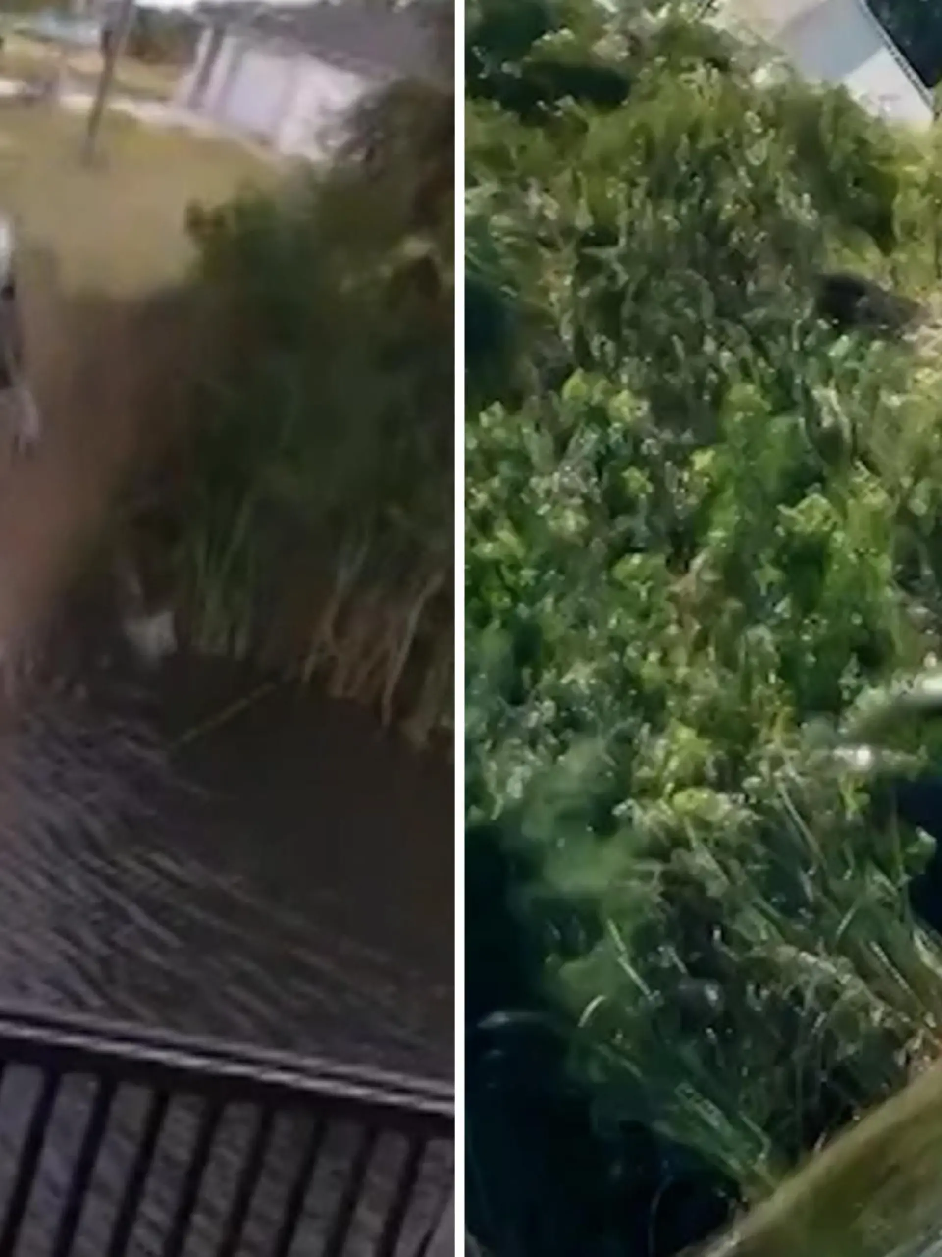 Autofahrer schießt bei Autorennen über das Ziel hinaus und landet im Wasser! 
Ein Mann verliert in Florida in den USA die Kontrolle über seinen Wagen und rast mit fast 130 km/h in den Kanal! Die krassen Bilder sehen Sie im Video.