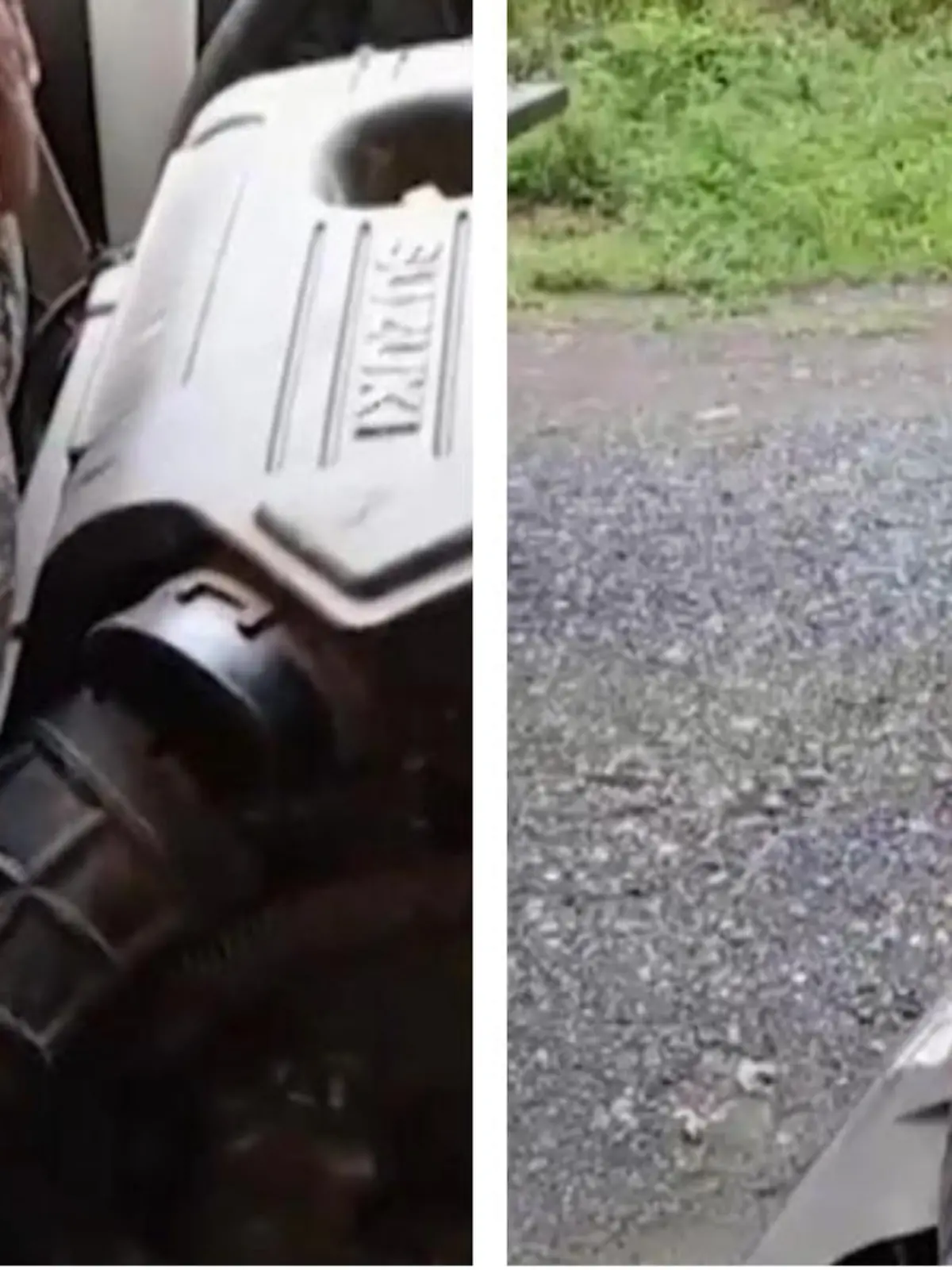 In Thailand macht ein Katzenbesitzer eine furchtbare Entdeckung: Erst wird sein geliebtes Tier gefressen und dann besetzt die Riesenschlange sein Auto!