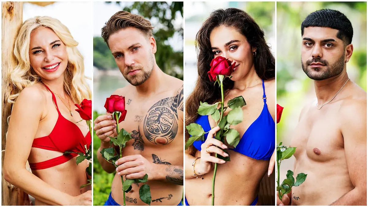 Unter anderem mit diesen Singles beginnt die fünfte BiP-Staffel!