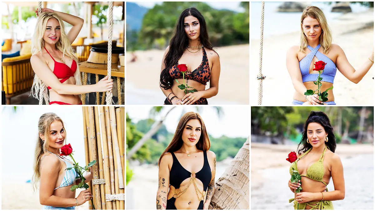 Franziska, Pam, Tami, Michelle, Rebecca und Leyla sind bereit, die Rosen in die Hand zu nehmen!