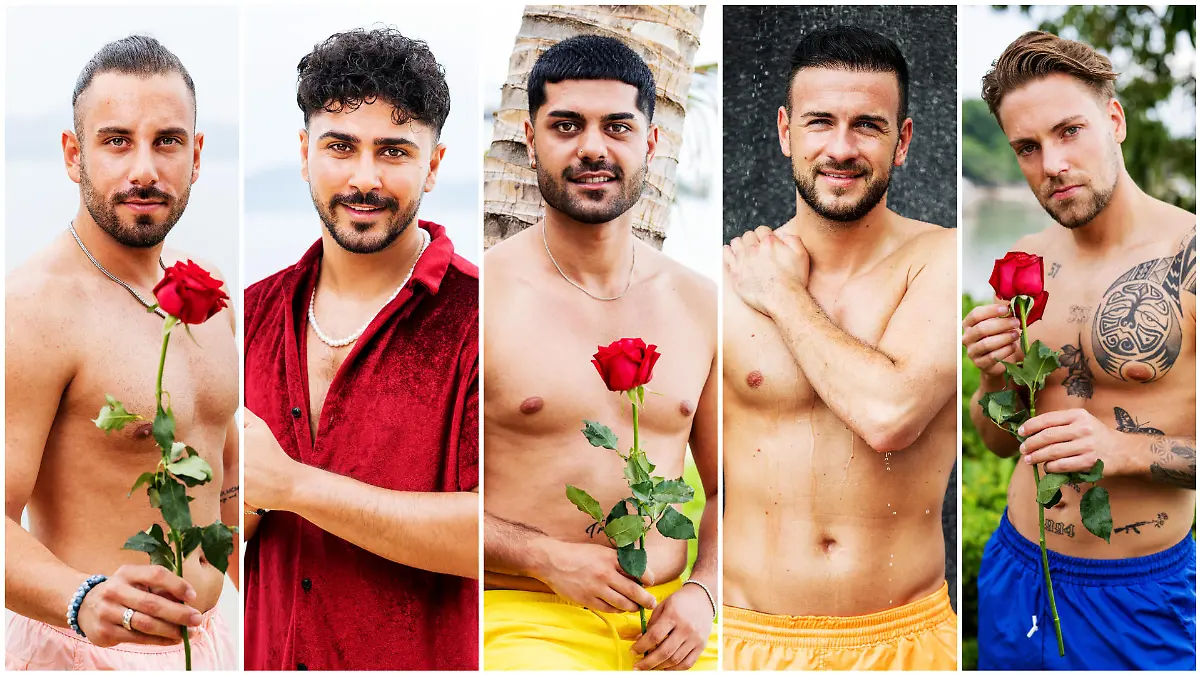 Von wem kriegen Kaan, Amir, Adrian, Daniel und Steffen wohl ihre ersten Rosen?