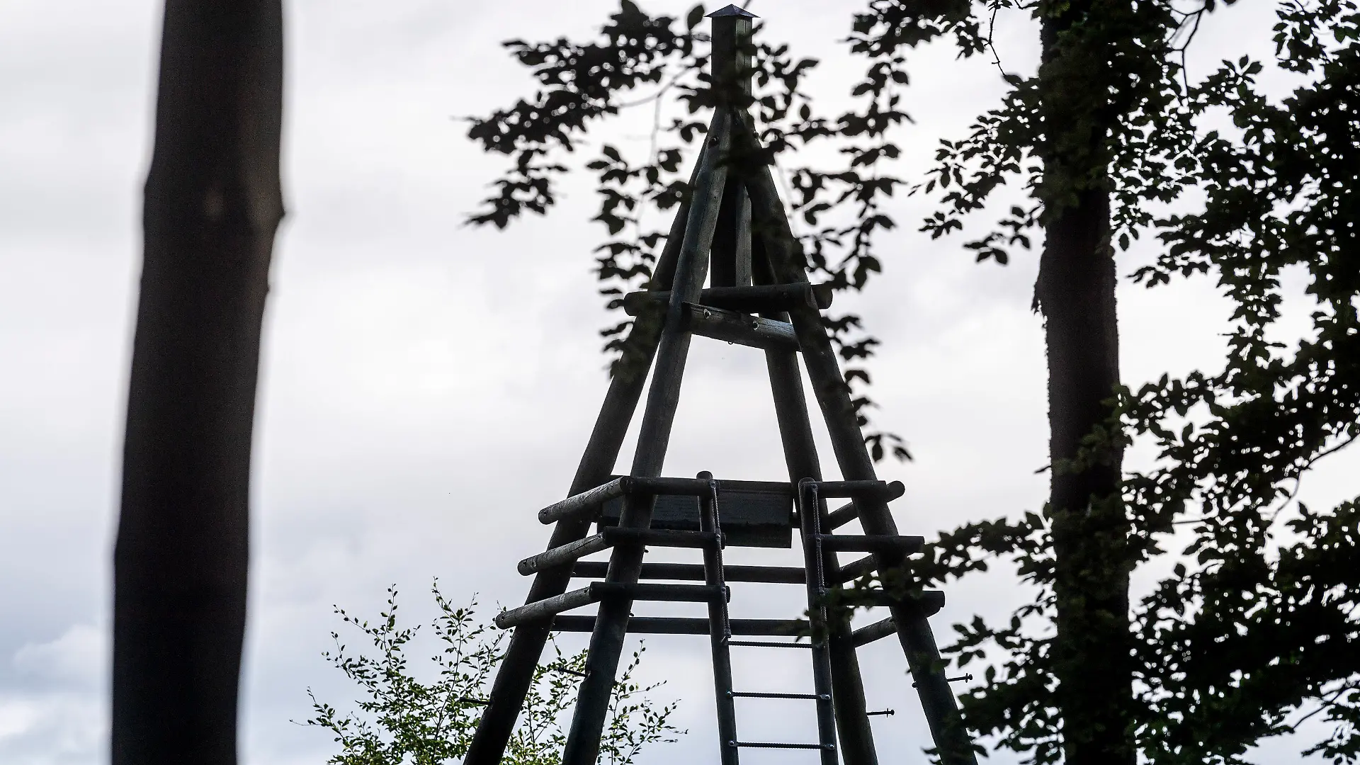 04.08.2023, Tschechien, Markvartice: Ein Aussichtsturm in Markvartice. Hier war am 3. August eine Kindergruppe von einer rund drei Meter hohen Aussichtsplattform gestürzt. Neun teils schwer verletzte Kinder wurden mit Hubschraubern und Krankenwagen in Kliniken gebracht, wie eine Polizeisprecherin am Freitag mitteilte. Foto: Hájek Ondøej/CTK/dpa +++ dpa-Bildfunk +++