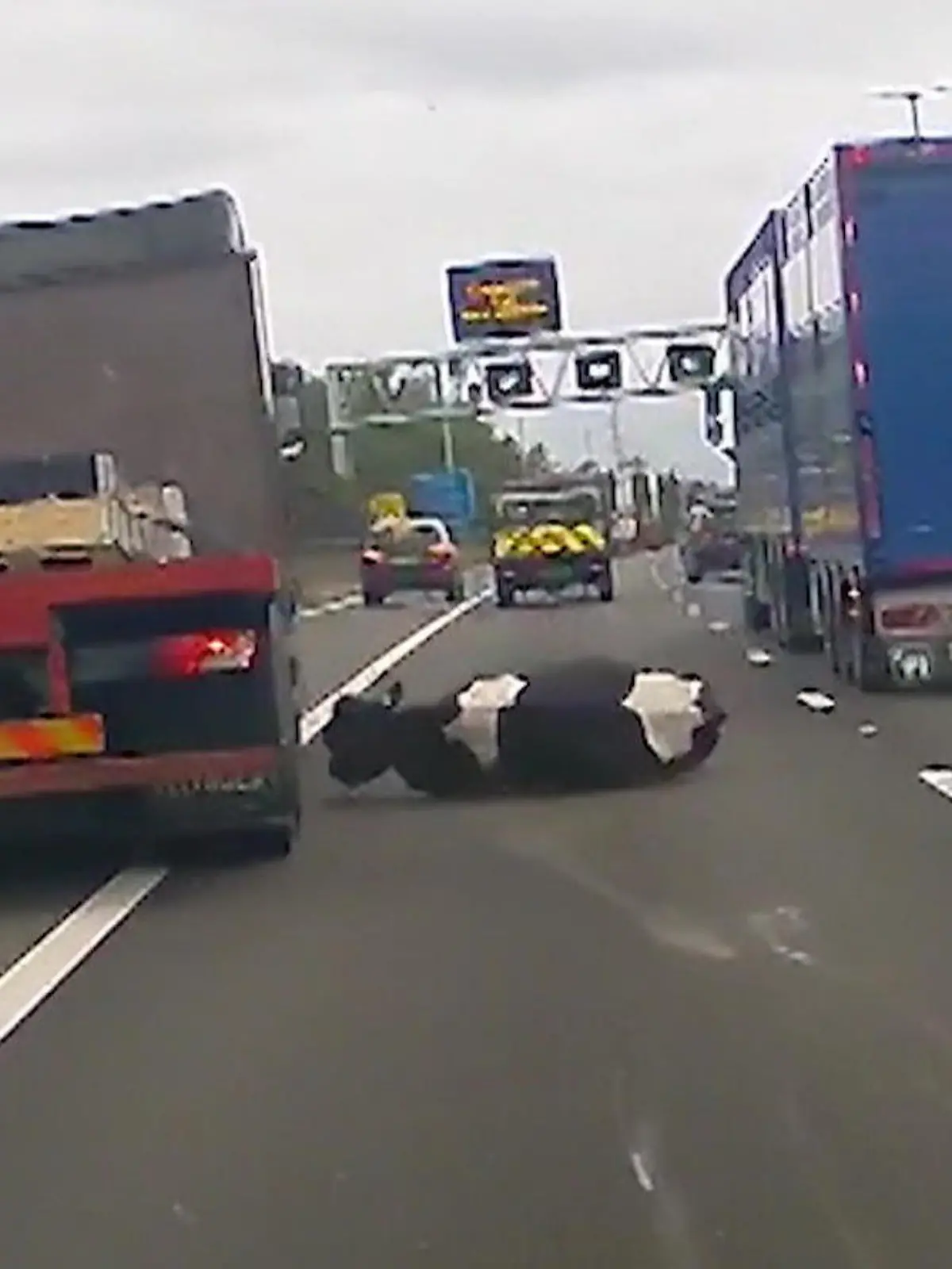 Im Nordwesten Englands ist eine Kuh von einem Lastwagen mitten auf die Fahrbahn gefallen. Drei Kilometer vorher war bereits eine andere Kuh aus demselben Fahrzeug gestürzt. Der Lkw, aus dem die Tiere fielen, war mit 100 km/h unterwegs. Zum Glück gelang es allen Fahrzeugen, auszuweichen und die Kühe zu umfahren. Beide Tiere konnten gerettet werden, haben sich aber bei dem Sturz verletzt. Das berichtet die zuständige Autobahn-Polizei auf Twitter. Wie schwer die Verletzungen der Tiere sind, ist noch nicht bekannt. Bleibt zu hoffen, dass sich die Kühe wieder gut erholen!