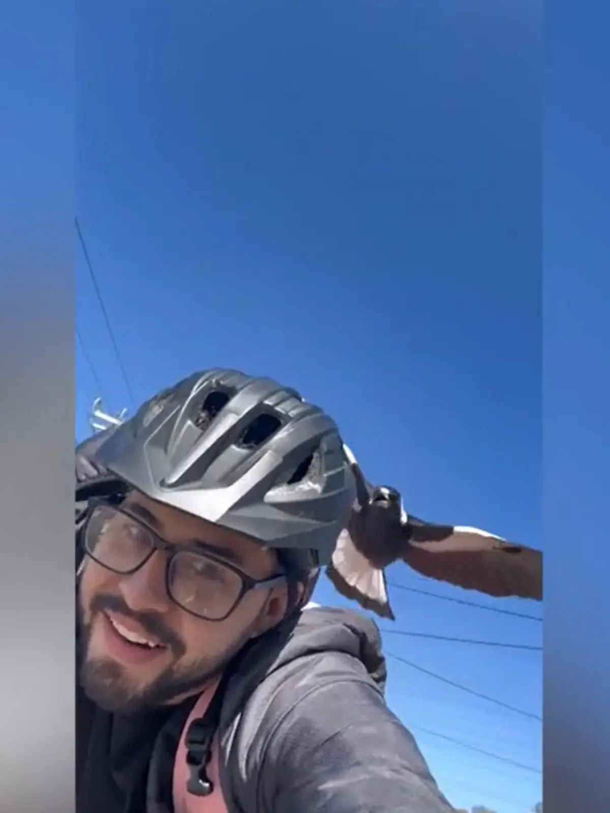 Alejandro Rios will nur von der Arbeit nach Hause fahren, als ihn eine Elster mehrmals attackiert. Der Vogel will nicht locker lassen und verfolgt den 25-Jährigen regelrecht. Warum der Vogel ausgerechnet Rios auserwählt hat, ist unbekannt. Fakt ist aber: "Er muss mich wirklich hassen", so Rios. Vielleicht wollte die Elster ihm auch nur klar machen, dass sein Helm noch offen ist...