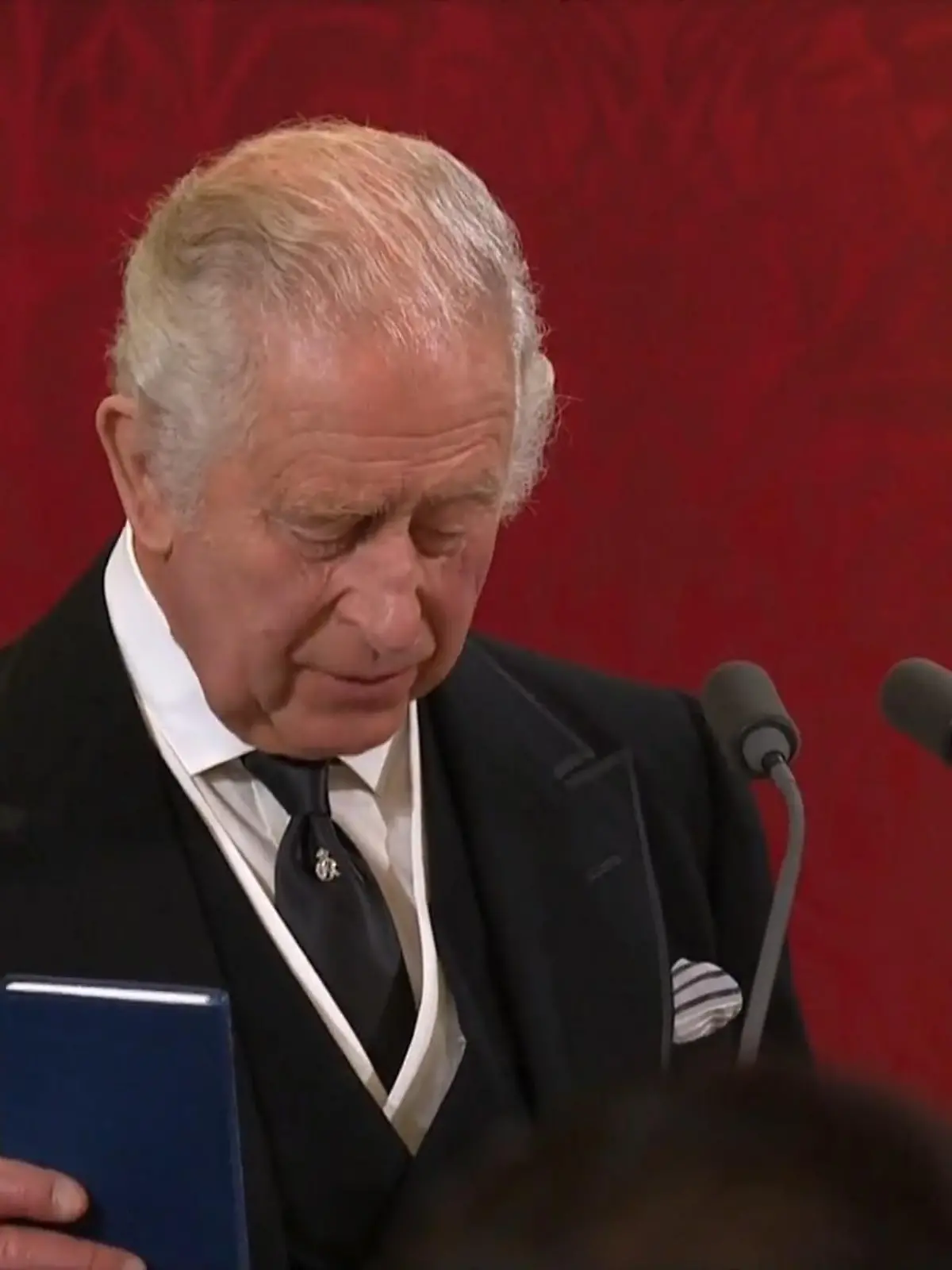Bild zu: "König Charles sortiert Harry & Andrew aus"