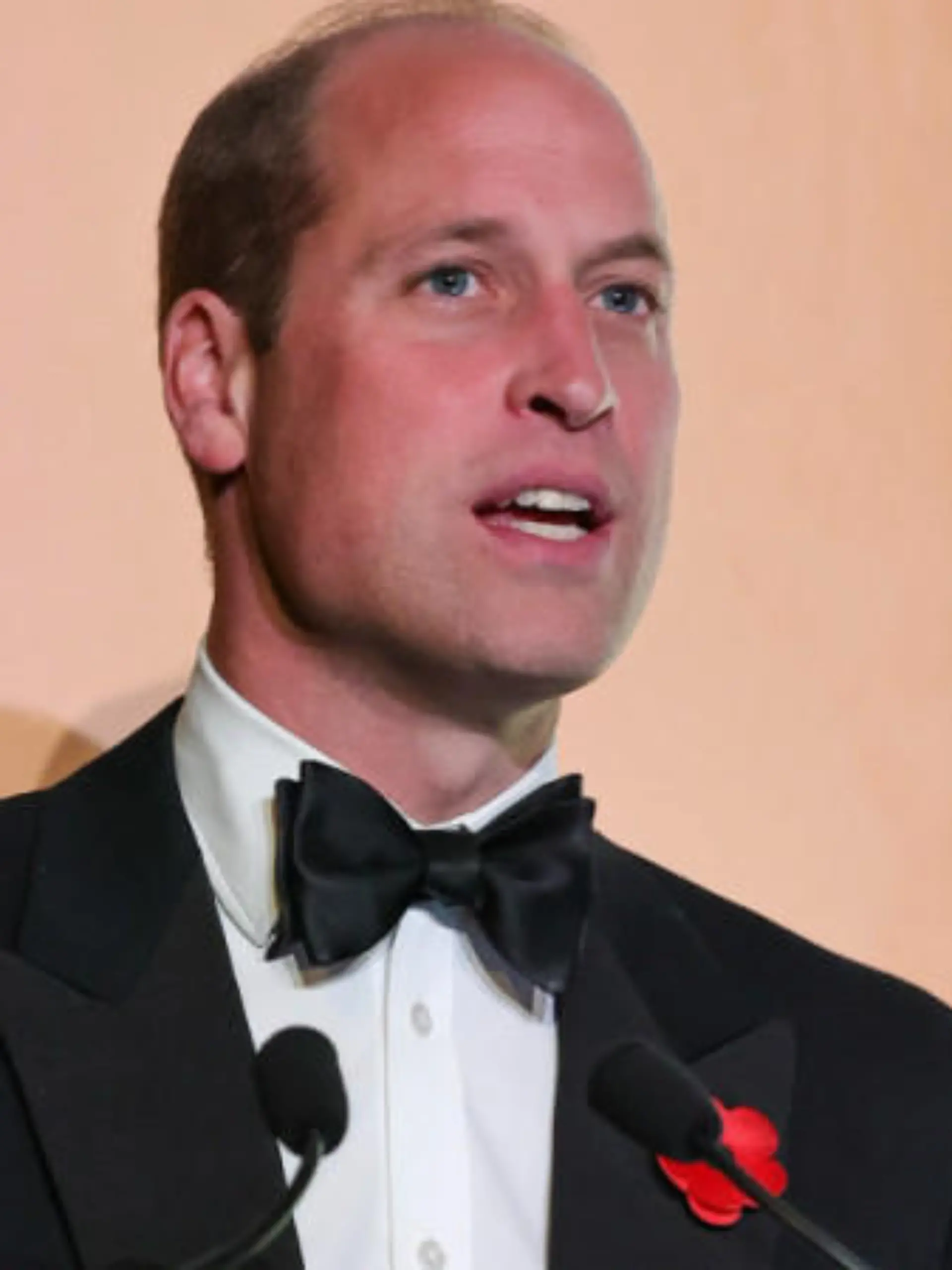 Prinz William betont wichtige Bedeutung eines sozialen Netzwerks