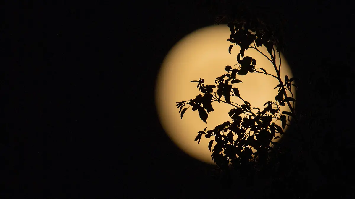 Full Beaver Moon In November An eclipse of the Moon, not visible in Europe and Italy, is expected on 8 November. Photo shows the almost full Moon in Taurus, called the Beaver Moon, on the evening of 7 November 2022 in Rieti, Italy. Rieti Italy PUBLICATIONxNOTxINxFRA Copyright: xRiccardoxFabix originalFilename: fabi-notitle221107_npGl8.jpg 
